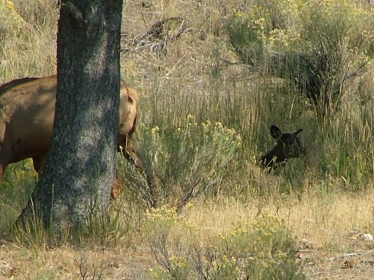 South Dakota - Wyoming - Montana - 176.JPG