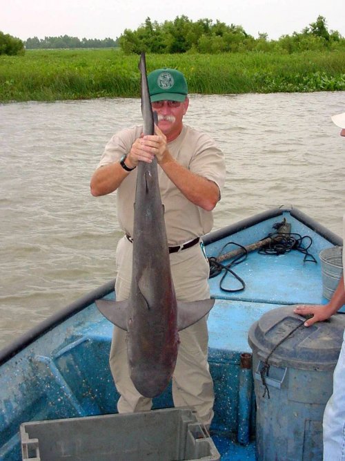Michael R. Walker holding a Bull Shark
