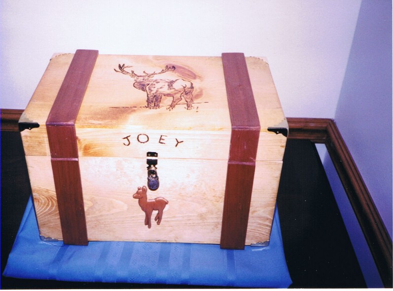 Treasure Box - Joey L.jpg